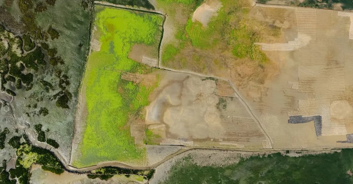 Les Enjeux de la Cartographie Écologique : Pourquoi l'Atlas est Indispensable