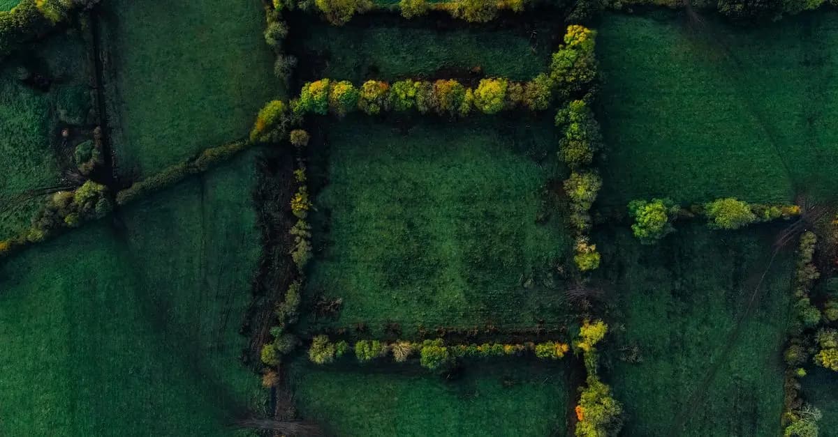 L'importance de la cartographie dans la gestion des crises