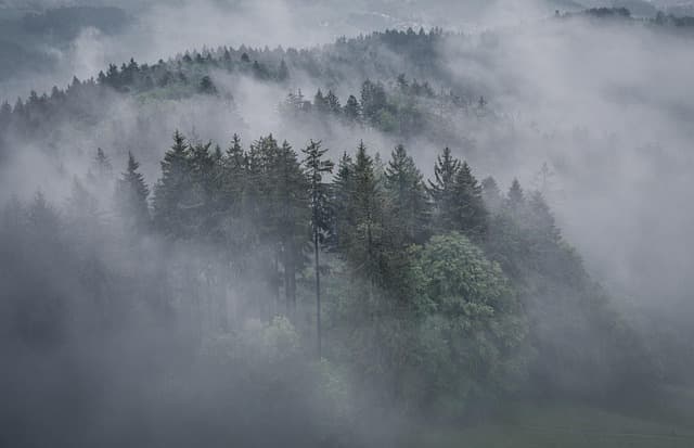 Les Futurs Développements de la Cartographie Écologique